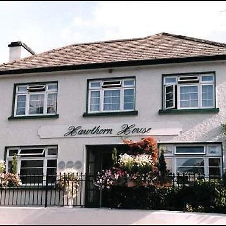 Hawthorn House Guesthouse Кенмар Экстерьер фото
