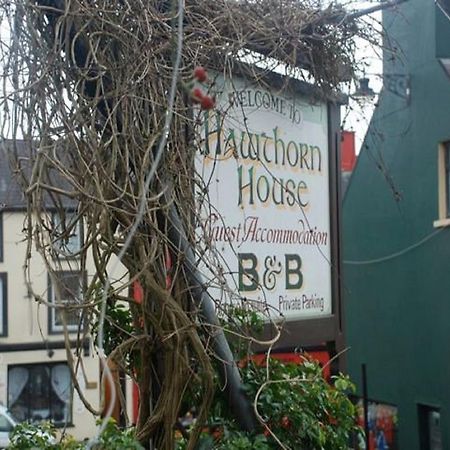 Hawthorn House Guesthouse Кенмар Экстерьер фото