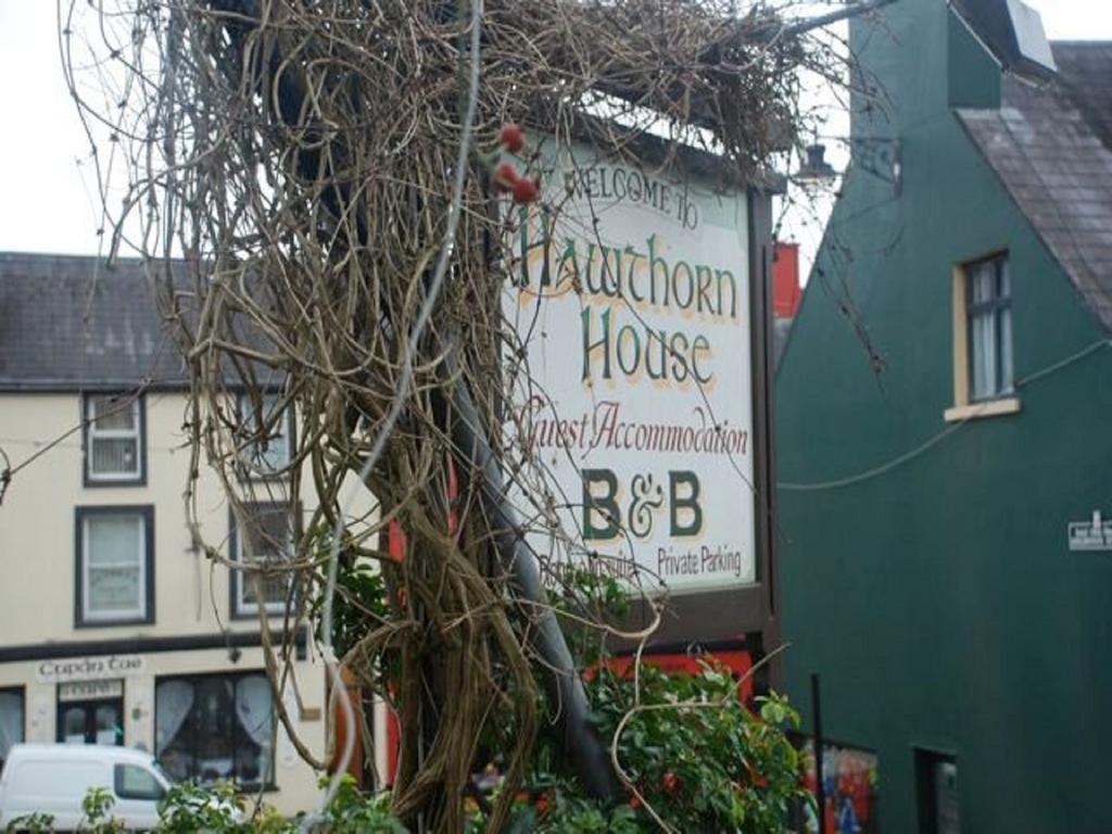 Hawthorn House Guesthouse Кенмар Экстерьер фото